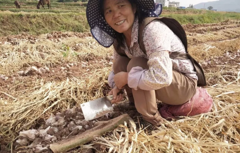 1524921299.png Z%OQ6CIC782J3Y167L(1MG2.png