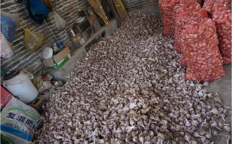 1524922826.png 1T2{{~Y8PQ6R`8L8Z5Q~TK9.png