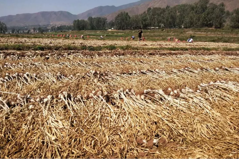 1524922961.png 5`O3QR4HX1${)R(JPRKC61D.png