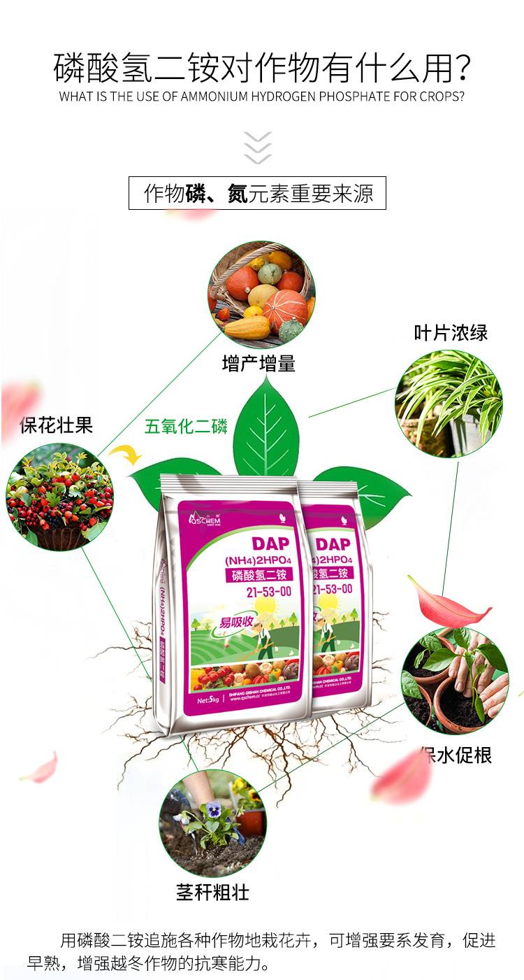 1535090586.jpg 磷酸氢二铵_03.jpg